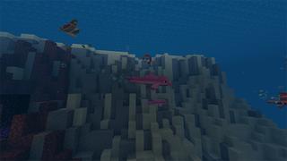 Screenshot of the Minecraft Bedrock Marketplace product Love Dolphins created by Rainbow Theory.