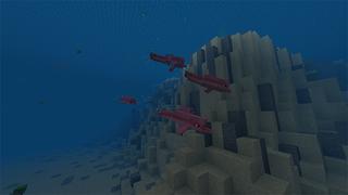 Screenshot of the Minecraft Bedrock Marketplace product Love Dolphins created by Rainbow Theory.
