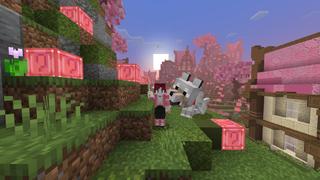 Screenshot of the Minecraft Bedrock Marketplace product Skyblock Sakura created by Rainbow Theory.