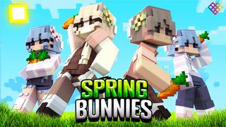 Thumbnail of the Minecraft Bedrock Marketplace product Spring Bunnies created by Rainbow Theory.