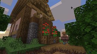 Screenshot of the Minecraft Bedrock Marketplace product Advanced Village created by RareLoot.