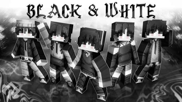 Thumbnail of the Minecraft Bedrock Marketplace product Black And White created by RareLoot.