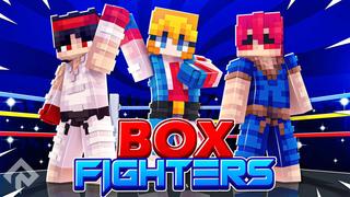 Thumbnail of the Minecraft Bedrock Marketplace product Box Fighters created by RareLoot.