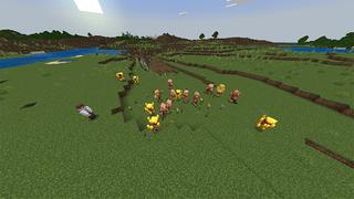 Screenshot of the Minecraft Bedrock Marketplace product Custom Eggs created by RareLoot.