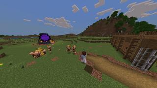 Screenshot of the Minecraft Bedrock Marketplace product Custom Golems created by RareLoot.