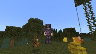 Screenshot of the Minecraft Bedrock Marketplace product Custom Potions created by RareLoot.