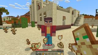 Screenshot of the Minecraft Bedrock Marketplace product Custom Totems created by RareLoot.