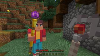 Screenshot of the Minecraft Bedrock Marketplace product Custom Wands created by RareLoot.