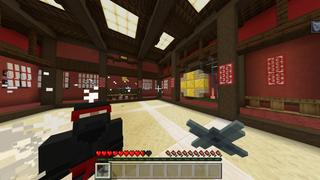 Screenshot of the Minecraft Bedrock Marketplace product Dojo created by RareLoot.