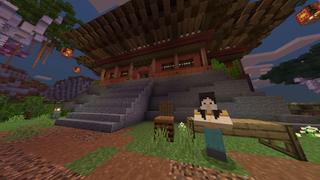 Screenshot of the Minecraft Bedrock Marketplace product Dojo created by RareLoot.
