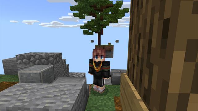 Screenshot of the Minecraft Bedrock Marketplace product Lucky Teens´ Island created by RareLoot.