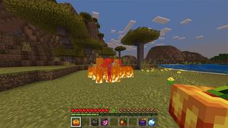 Screenshot of the Minecraft Bedrock Marketplace product Magische Früchte created by RareLoot.