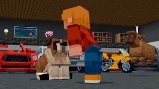 Screenshot of the Minecraft Bedrock Marketplace product MEGA MANSION created by RareLoot.