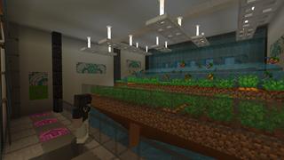 Screenshot of the Minecraft Bedrock Marketplace product Millionaire Underground Base created by RareLoot.