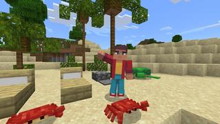 Screenshot of the Minecraft Bedrock Marketplace product Ocean Expansion created by RareLoot.