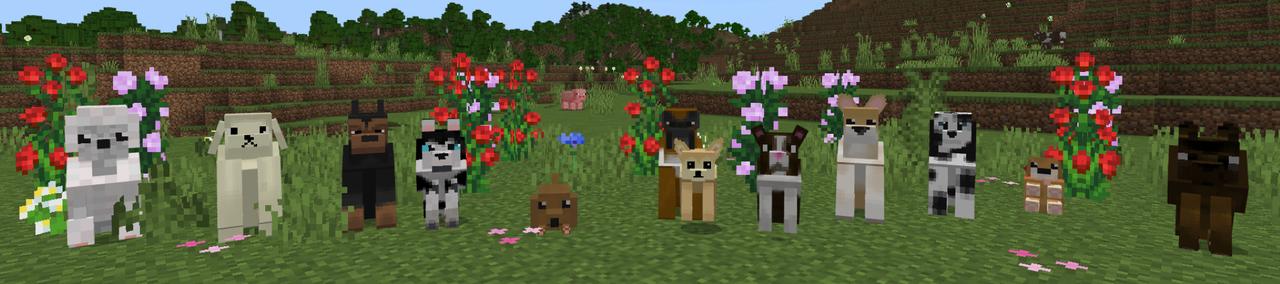 Panorama of the Minecraft Bedrock Marketplace product Pets: Dogs created by RareLoot.