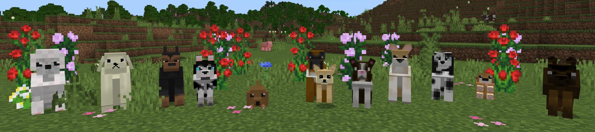 Panorama of the Minecraft Bedrock Marketplace product Pets: Dogs created by RareLoot.