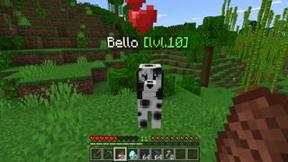 Screenshot of the Minecraft Bedrock Marketplace product Pets: Dogs created by RareLoot.