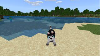Screenshot of the Minecraft Bedrock Marketplace product Pets: Dogs created by RareLoot.