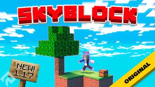 Thumbnail of the Minecraft Bedrock Marketplace product Skyblock Fragments created by RareLoot.
