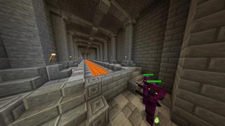 Screenshot of the Minecraft Bedrock Marketplace product Stray created by RareLoot.