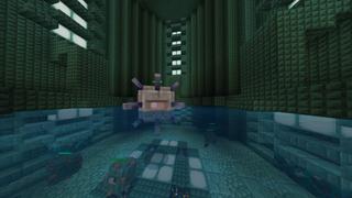 Screenshot of the Minecraft Bedrock Marketplace product Stray created by RareLoot.