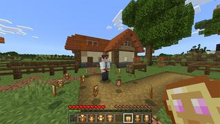 Screenshot of the Minecraft Bedrock Marketplace product TOTEMS++ created by RareLoot.