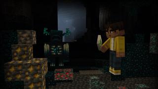 Screenshot of the Minecraft Bedrock Marketplace product X-RAY++ created by RareLoot.