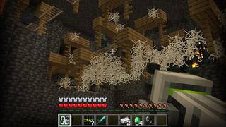 Screenshot of the Minecraft Bedrock Marketplace product X-RAY++ created by RareLoot.