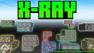 Thumbnail of the Minecraft Bedrock Marketplace product X-RAY++ created by RareLoot.