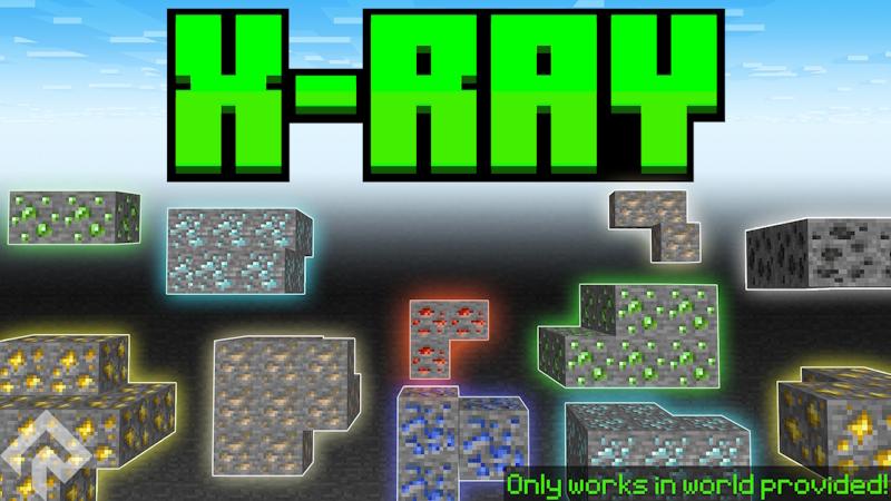 X-RAY++ by RareLoot | CHUNK - Minecraft Bedrock Marketplace Explorer