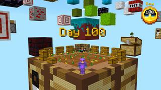 Screenshot of the Minecraft Bedrock Marketplace product 100 Days Mega Blocks created by Razzleberries.