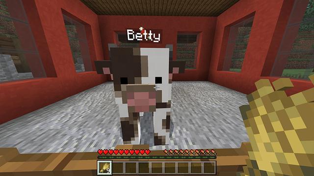 Screenshot of the Minecraft Bedrock Marketplace product Animania created by Razzleberries.