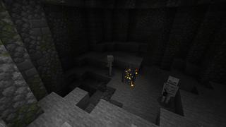 Screenshot of the Minecraft Bedrock Marketplace product Bottles n' Biomes created by Razzleberries.