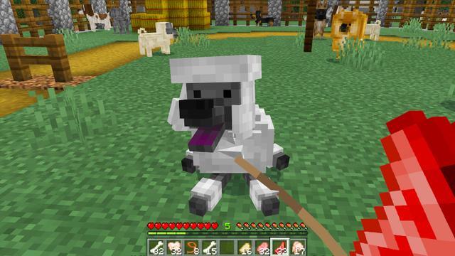 Screenshot of the Minecraft Bedrock Marketplace product Doggos created by Razzleberries.