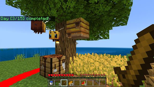 Screenshot of the Minecraft Bedrock Marketplace product Don't Leave the Circle! created by Razzleberries.