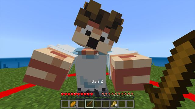 Screenshot of the Minecraft Bedrock Marketplace product Don't Leave the Circle! created by Razzleberries.