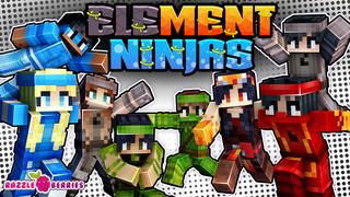 Thumbnail of the Minecraft Bedrock Marketplace product Element Ninjas created by Razzleberries.