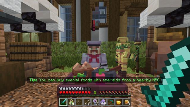 Screenshot of the Minecraft Bedrock Marketplace product Elven Kingdom created by Razzleberries.