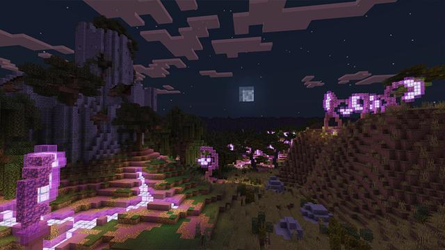 Screenshot of the Minecraft Bedrock Marketplace product Enderlands created by Razzleberries.