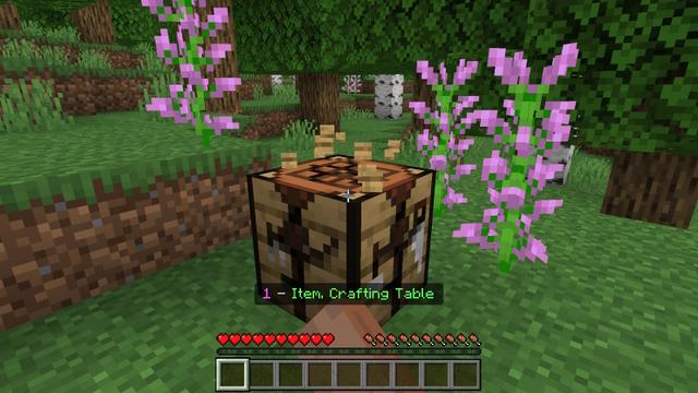 Screenshot of the Minecraft Bedrock Marketplace product Force Items Challenge created by Razzleberries.