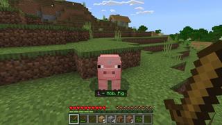 Screenshot of the Minecraft Bedrock Marketplace product Force Mobs Challenge created by Razzleberries.