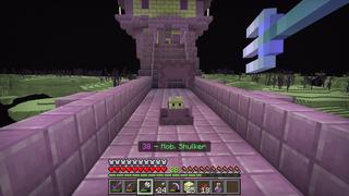 Screenshot of the Minecraft Bedrock Marketplace product Force Mobs Challenge created by Razzleberries.