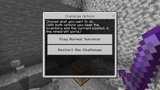 Screenshot of the Minecraft Bedrock Marketplace product Force Mobs Challenge created by Razzleberries.