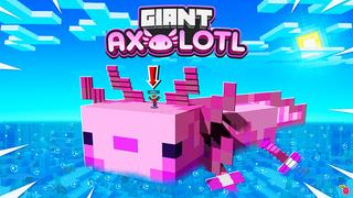 Thumbnail of the Minecraft Bedrock Marketplace product Giant Axolotl created by Razzleberries.