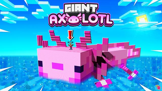 Thumbnail of the Minecraft Bedrock Marketplace product Giant Axolotl created by Razzleberries.