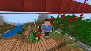 Screenshot of the Minecraft Bedrock Marketplace product Level=Border created by Razzleberries.