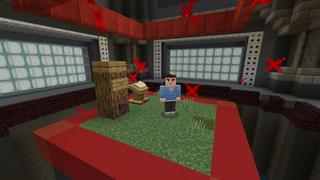 Screenshot of the Minecraft Bedrock Marketplace product Level=Border created by Razzleberries.