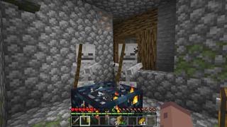 Screenshot of the Minecraft Bedrock Marketplace product Level=Border created by Razzleberries.