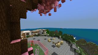 Screenshot of the Minecraft Bedrock Marketplace product Millionaire Summer Vacation created by Razzleberries.